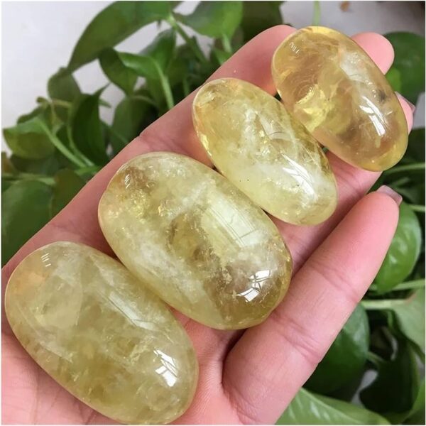 citrine palm stone